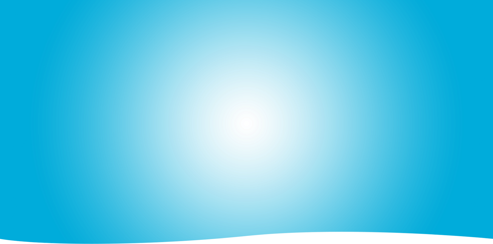 Section